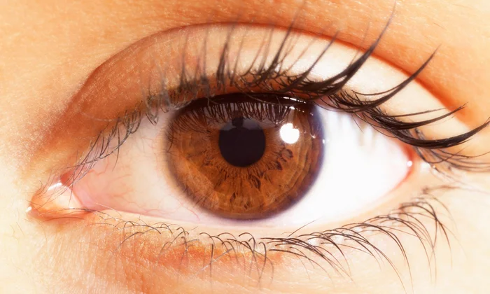Top Contact Lens Picks From Feel Good Contacts for Clear, Comfortable Vision