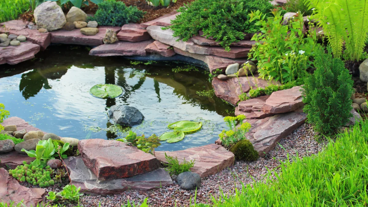 Transform Your Water Garden with Top Pond Products from Pondkeeper