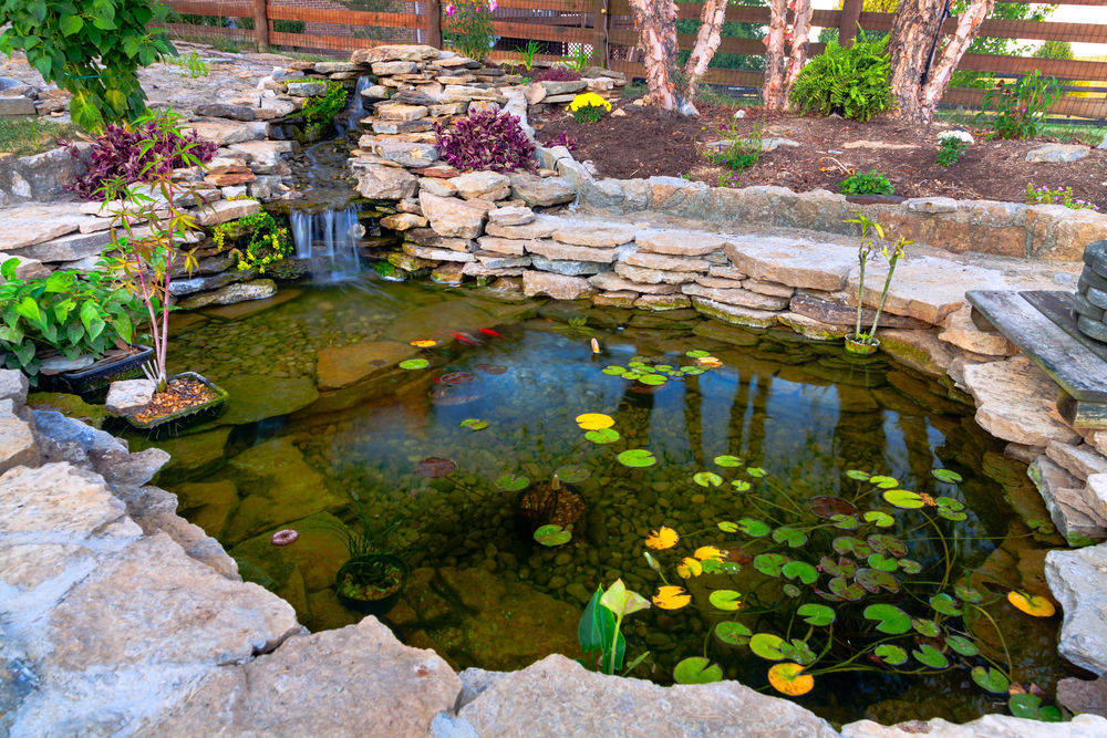 Elevate Your Pond Experience with Pondkeeper’s Quality Pond Essentials