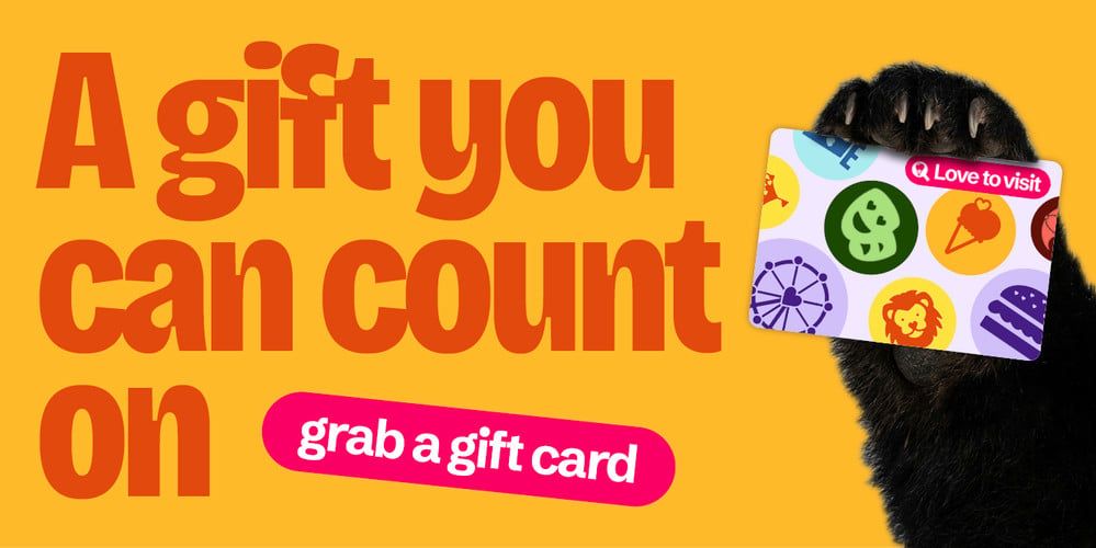 Lovetovisit gift card illustration