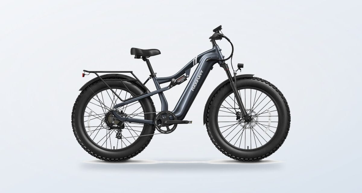 Puckipuppy E-Bike Buying Guide: How to Match a Model to Your Ride