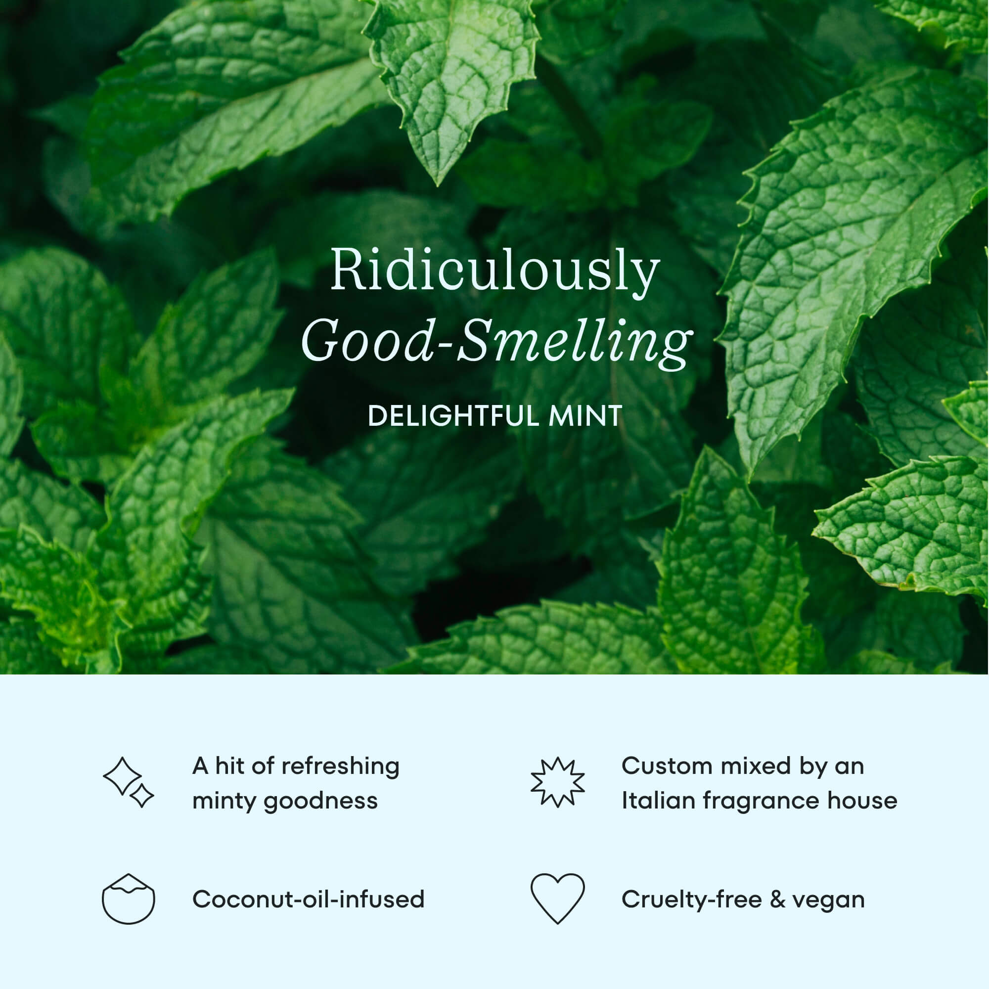 Mint leaves used to illustrate the Delightful Mint flavor