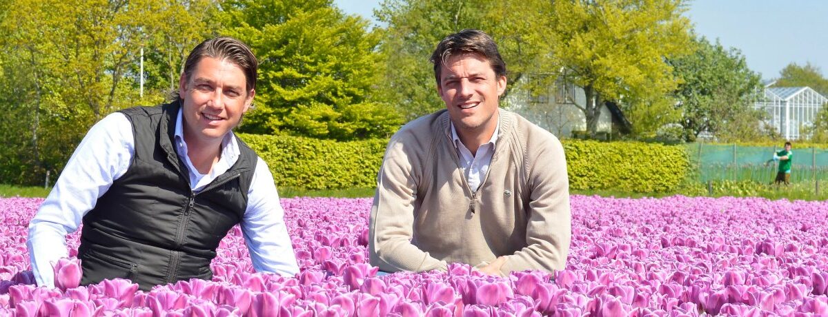 DutchGrown™ Brand Guide: A Family Bulb Story and What Its Range Offers