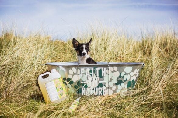 Dog beside a bath and Faith In Nature shampoo in a grassy outdoor scene