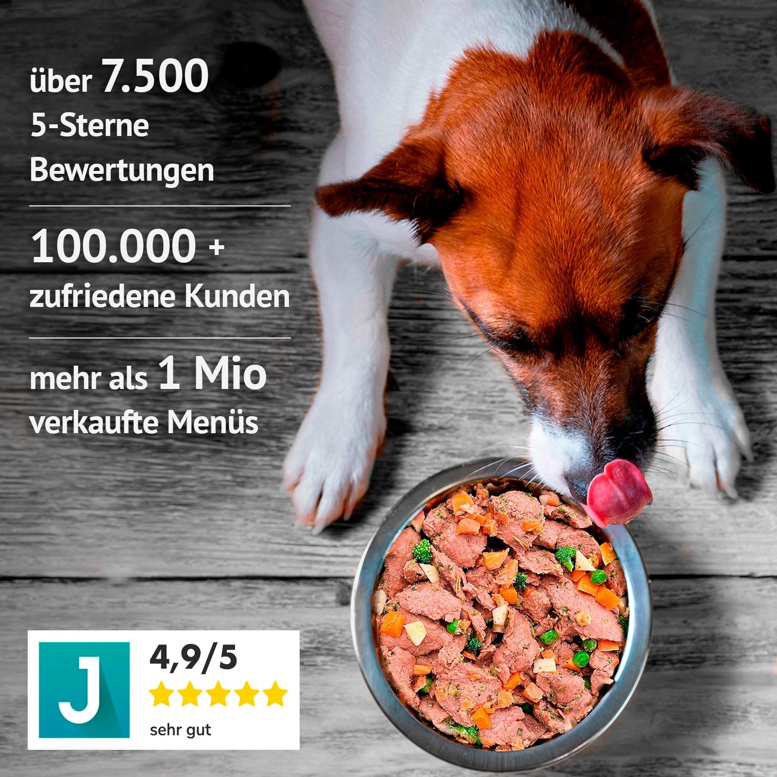 Hund frisst Fidelis Futter aus einem Napf mit Bewertungsdarstellungen