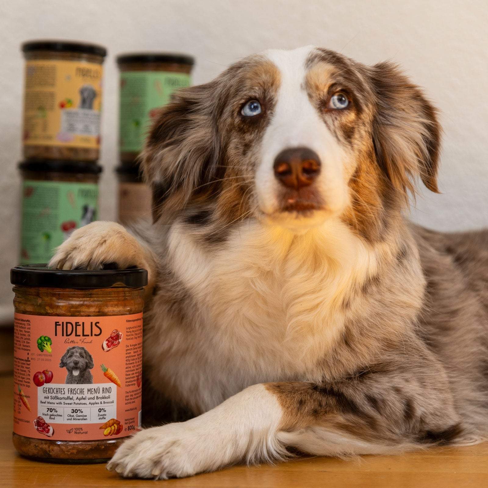 Hund neben Fidelis Frische Menüs im Glas
