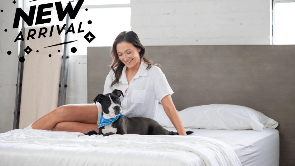 Latex Mattress Factory Review: How Its Mattress Builds Differ