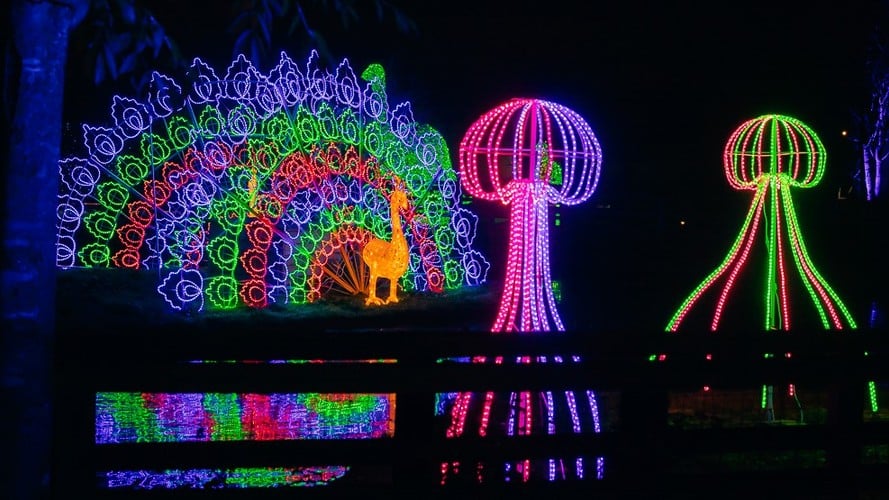 Light installations at the Barleylands Enlightened Moments trail