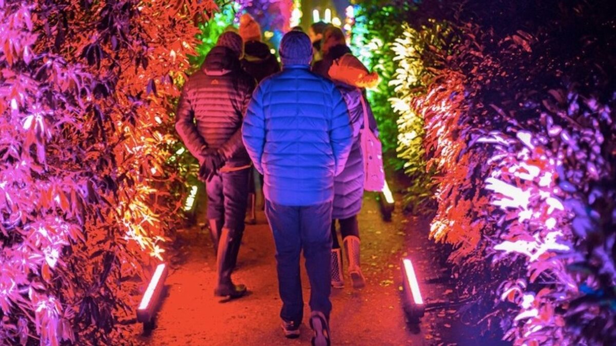 Lovetovisit Brand Guide: How Its UK Days Out and Events Work
