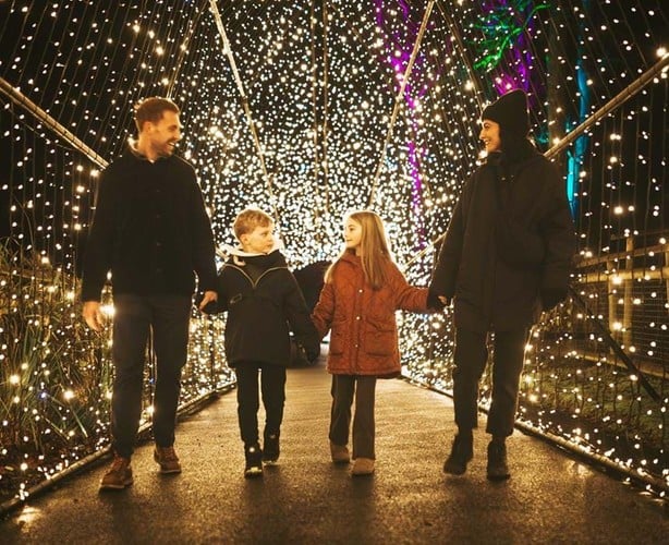 Illuminated trail at Port Lympne