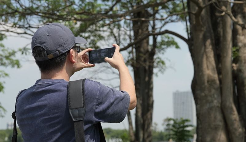 A person using a smartphone to photograph a leafy park