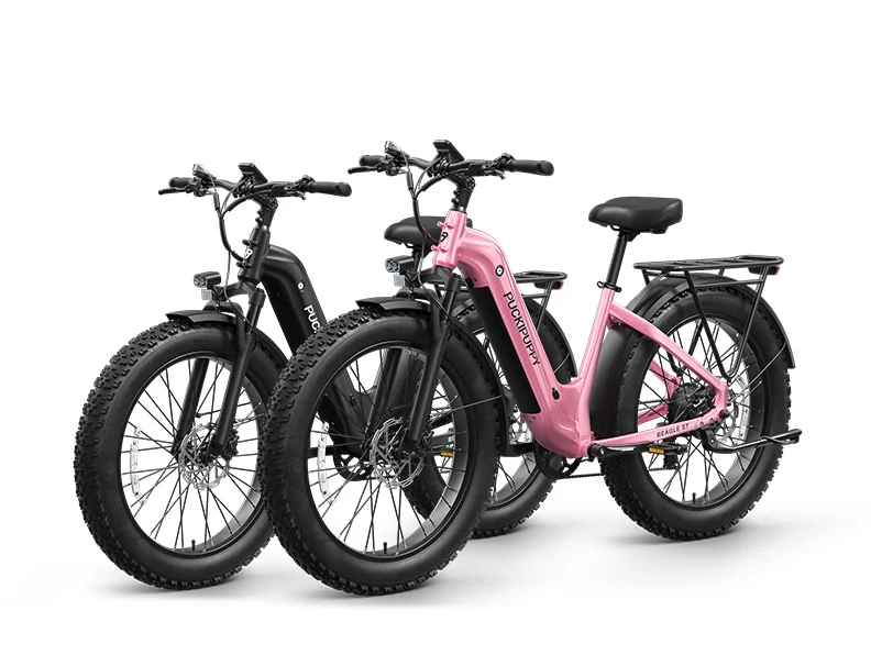 Puckipuppy Beagle 2.0 ST electric bicycle