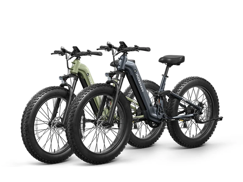 Puckipuppy Boxer ST electric bicycle