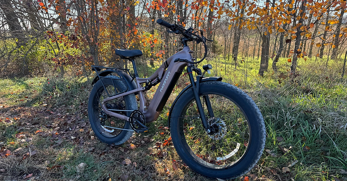 Puckipuppy Corgi electric bike