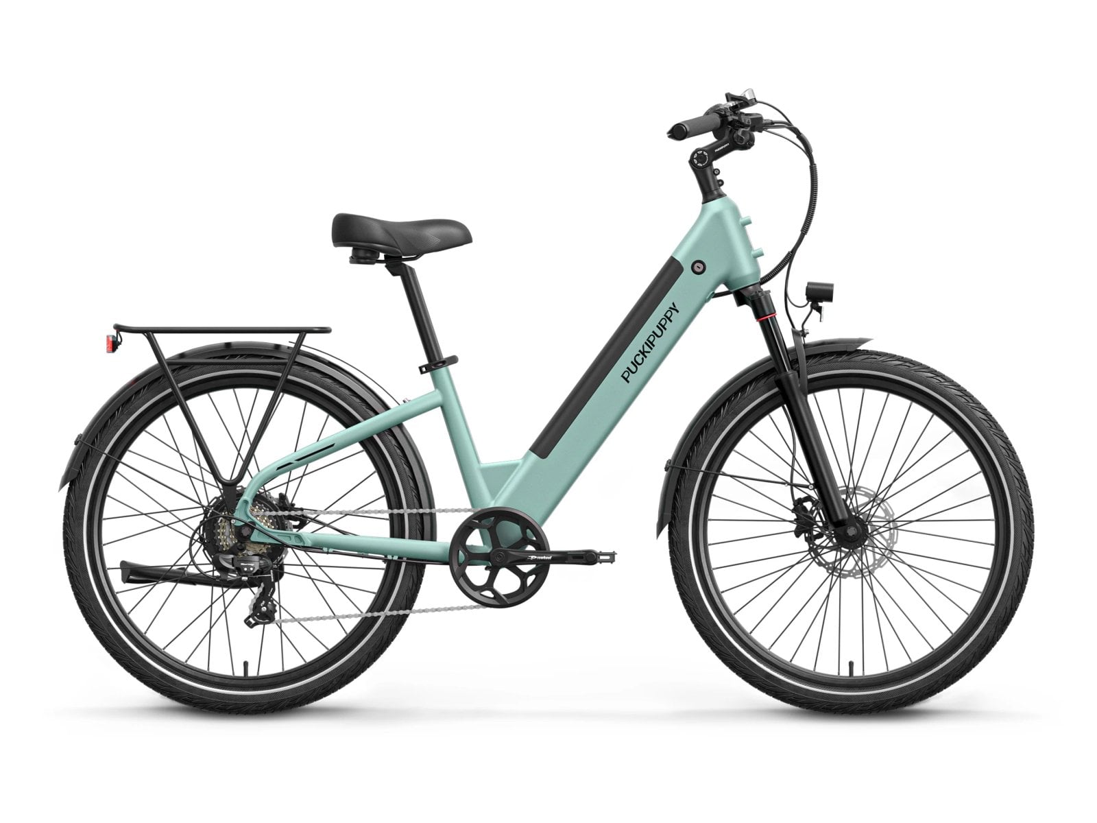 Sage green Poodle electric bike