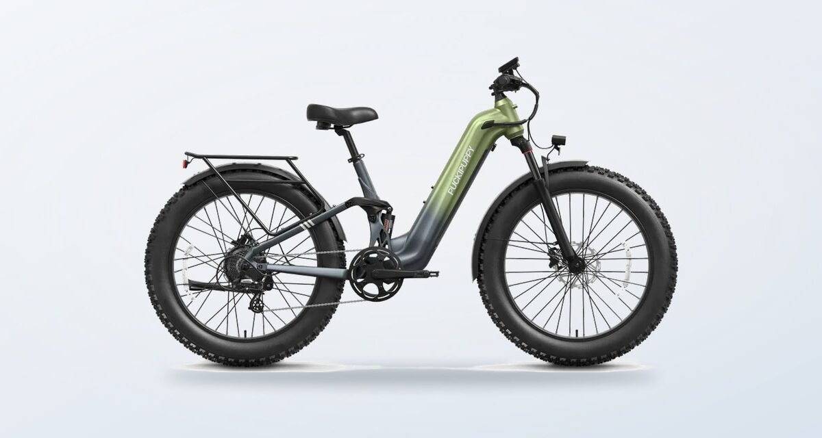 Puckipuppy Fall E-Bike Buying Guide: Three Models for Changing Routes