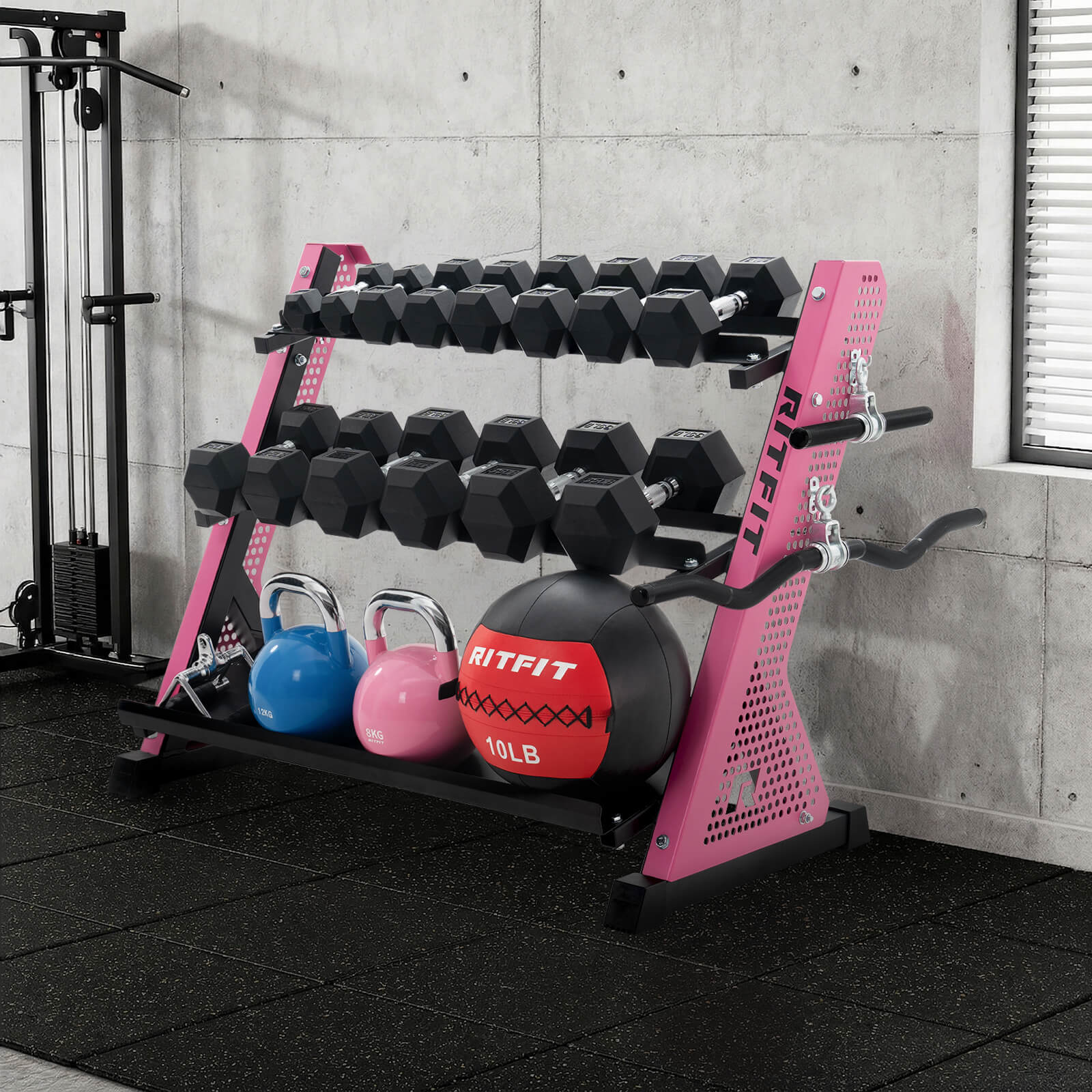 RITFIT PWR05 rack holding a set of dumbbells