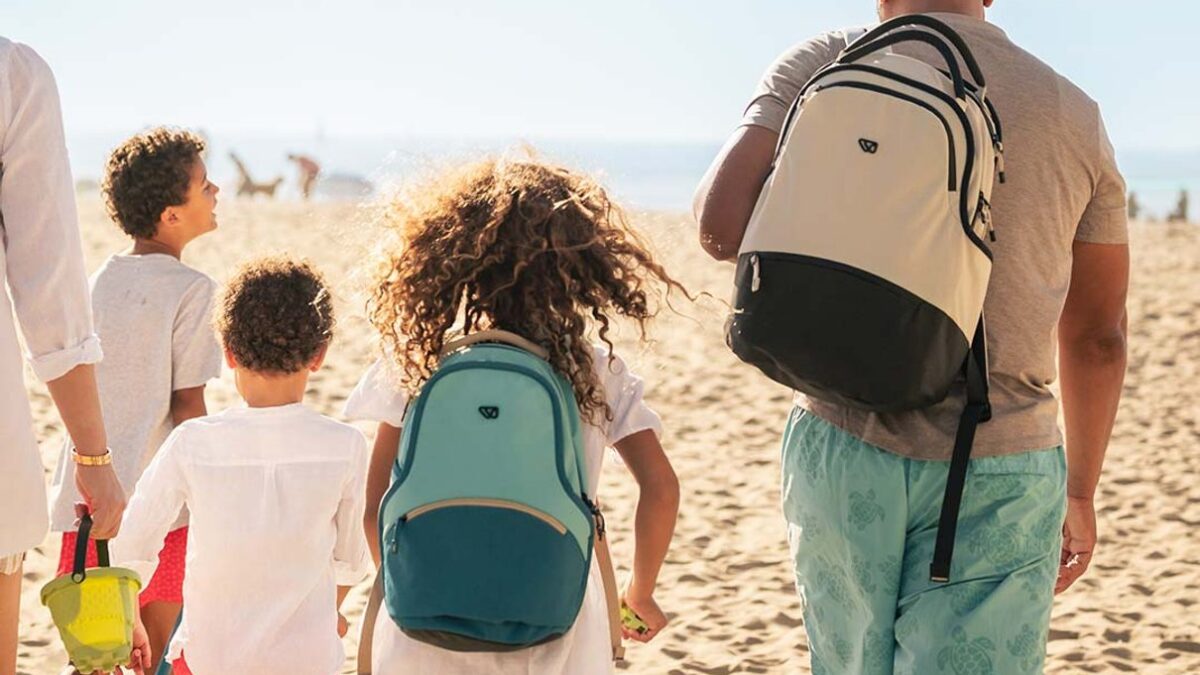 WAYB Travel Gear Compared: Pico seat or bags for family trips?